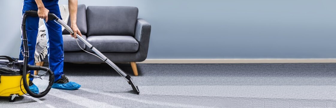 Ever Steam Carpet Cleaning